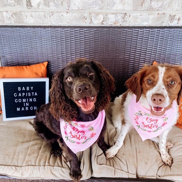 Meet your Posher, Kaitlyn - Picture 4 of 7